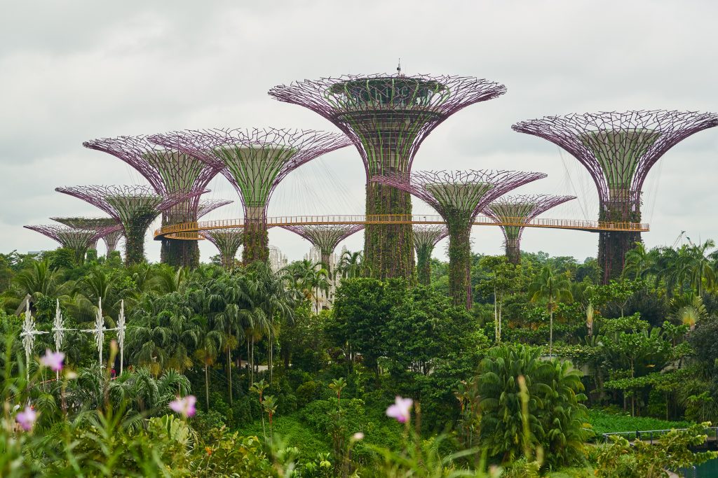 Garden by the BAY